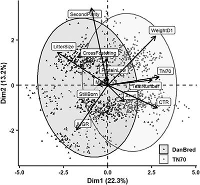 Characteristics of Piglets Born by Two Highly Prolific Sow Hybrids